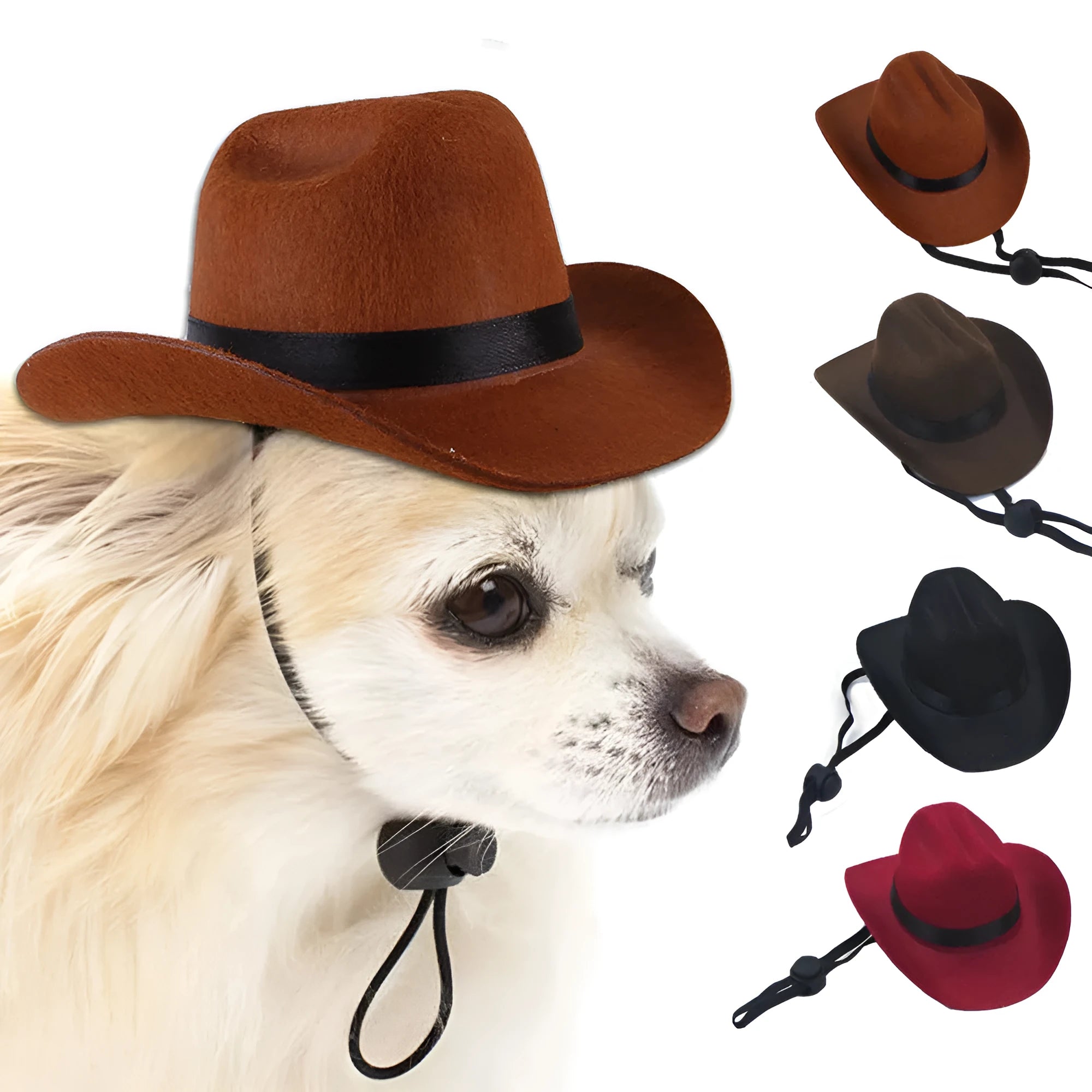 Adjustable dog wearing brown cowboy hat with rounded brim for pet photography