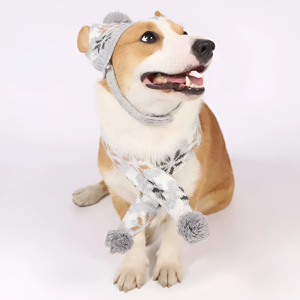 Japanese-style grey pet sweater with matching scarf hat on dog showing retro jacquard pattern