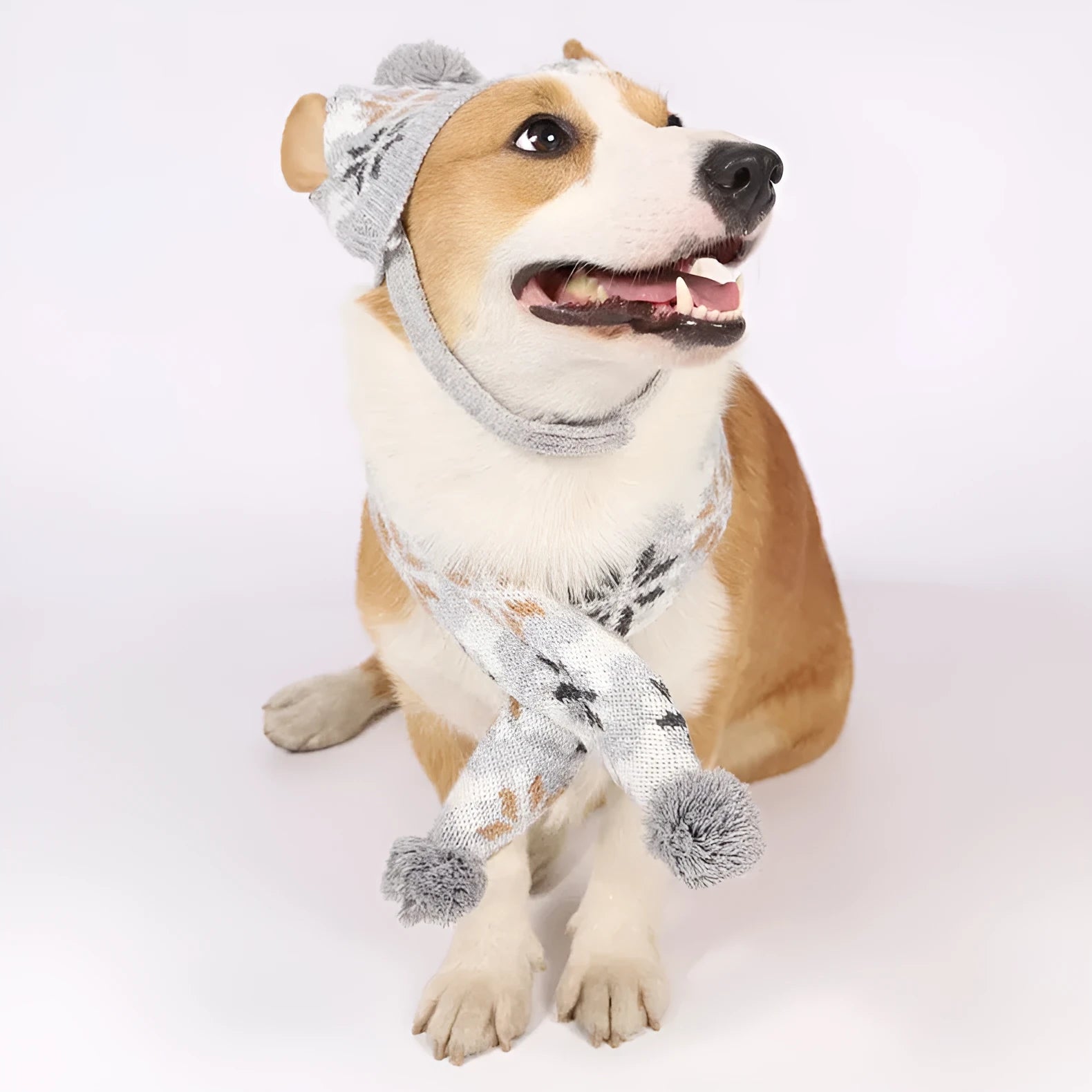 Japanese-style grey pet sweater with matching scarf hat on dog showing retro jacquard pattern