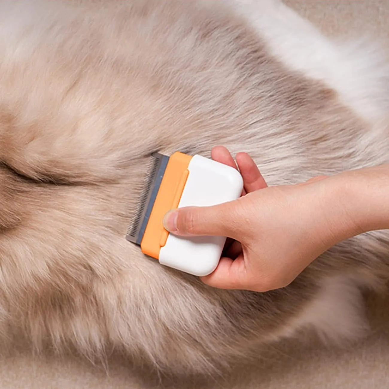 Blue double-sided pet grooming comb with stainless steel teeth and ABS handle for deshedding and massage