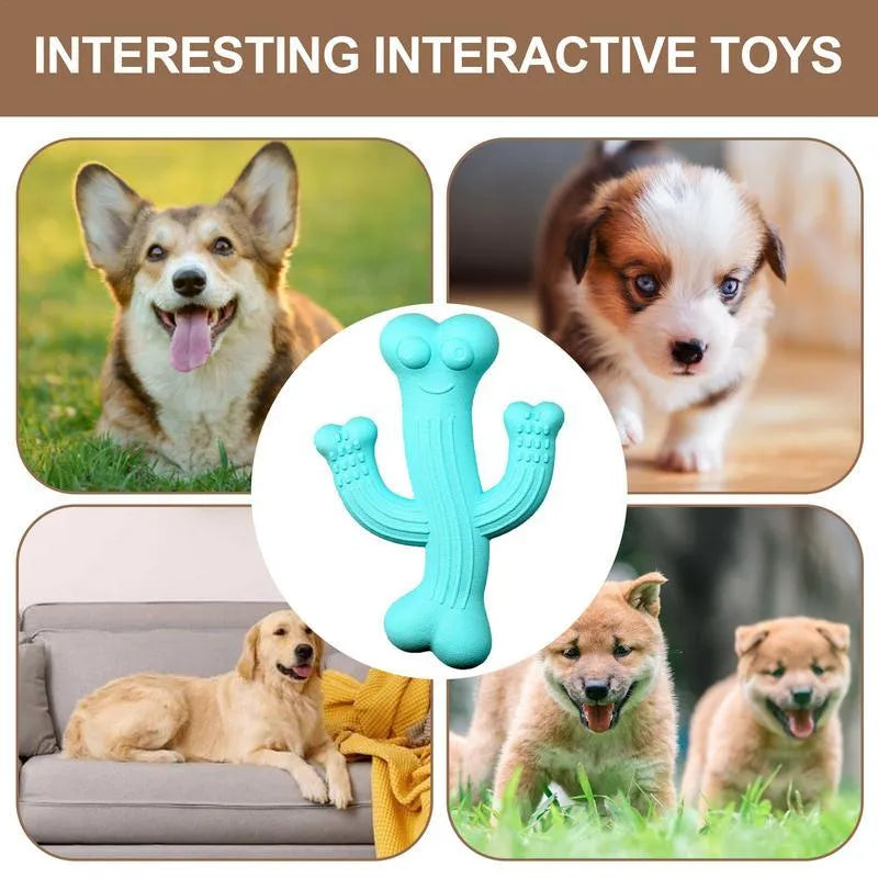 Beige, blue, and purple cactus-shaped dog chew toy made from bamboo fibre and rubber, shown in small and large sizes.