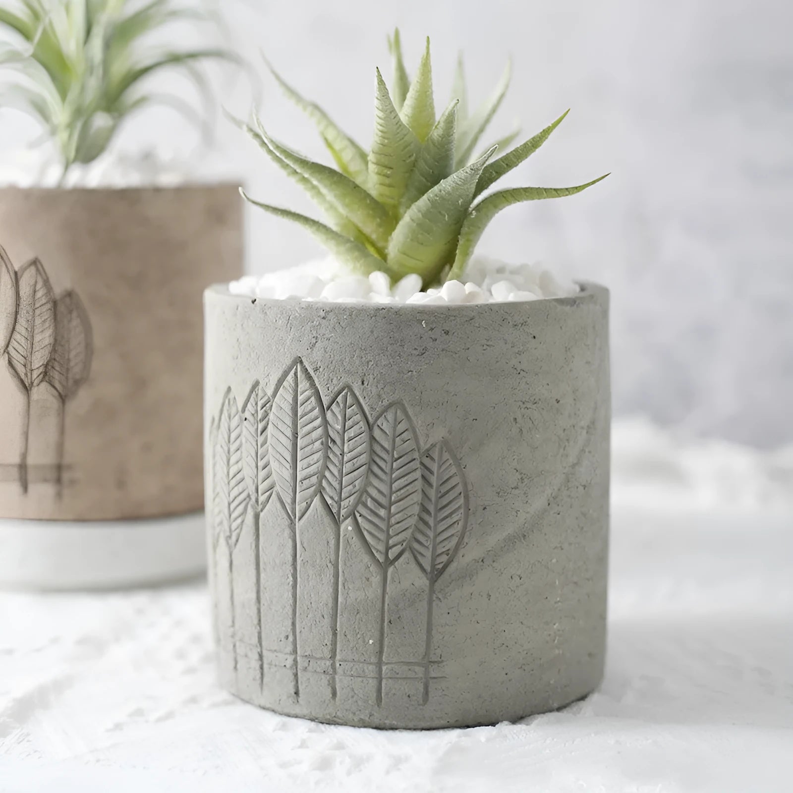 Cement succulent flowerpot in concrete, 12x12cm, green gray or beige, simple design for indoor plants