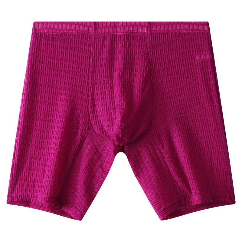 Men's transparent lace boxer briefs in light purple, showing the lengthened leg and mid-waist design.