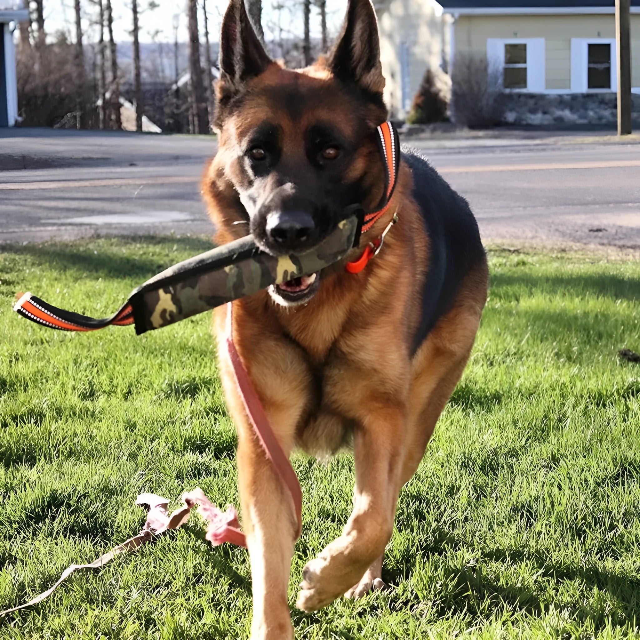 55cm long yellow-edged jute dog bite stick with reflective material for training