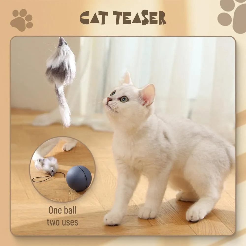 Blue and orange automatic rolling cat ball toy with self-activated motion for indoor pet play