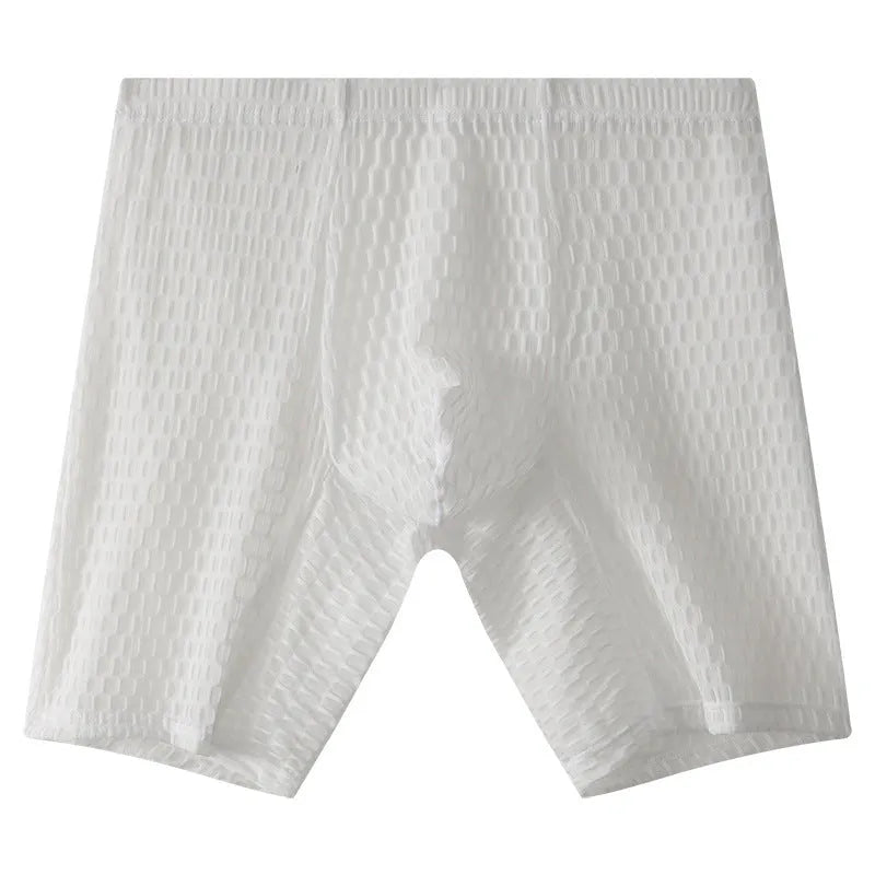 Men's transparent lace boxer briefs in light purple, showing the lengthened leg and mid-waist design.