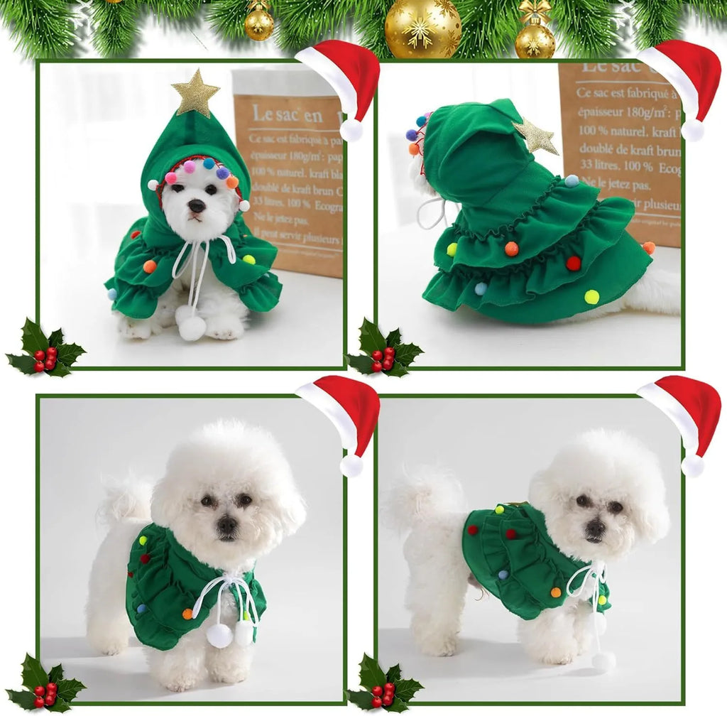Cat Christmas tree costume in green with star ornament, size M, on a cat
