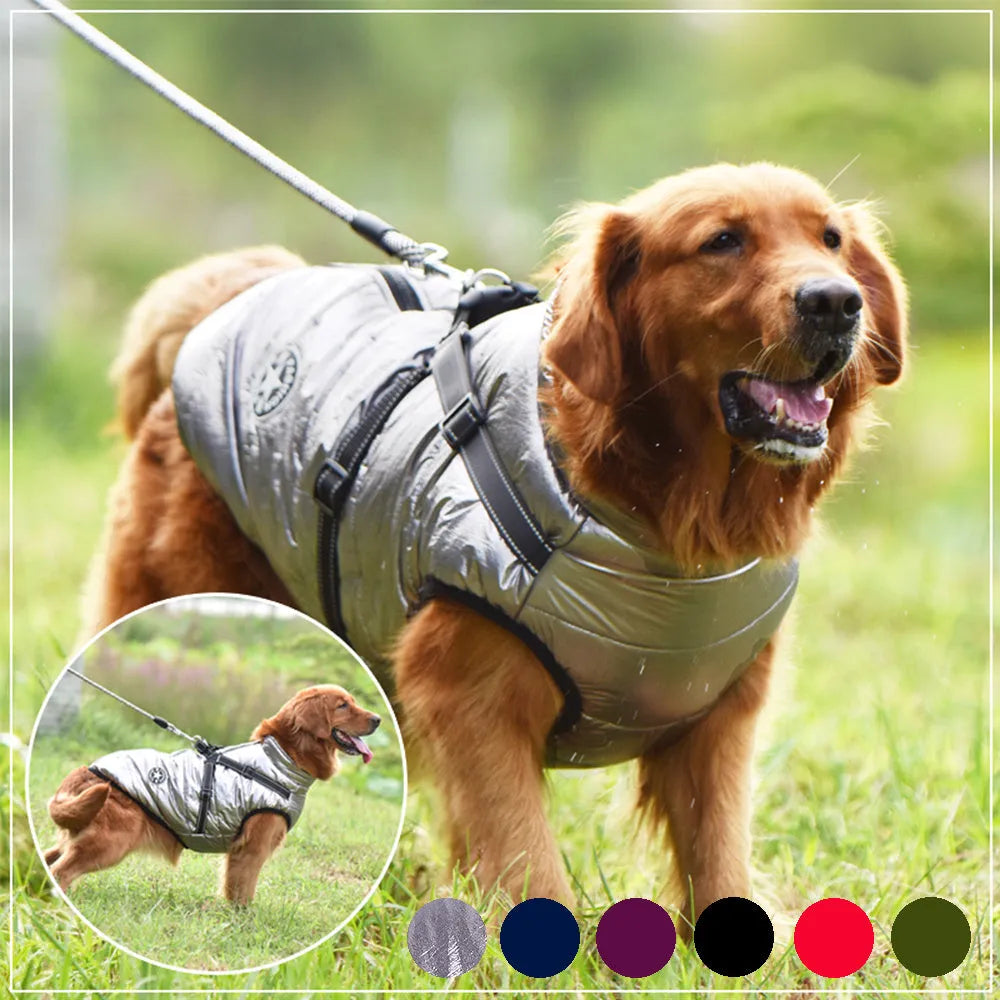 Waterproof dog coat with harness in red, navy blue, and army green on a winter background