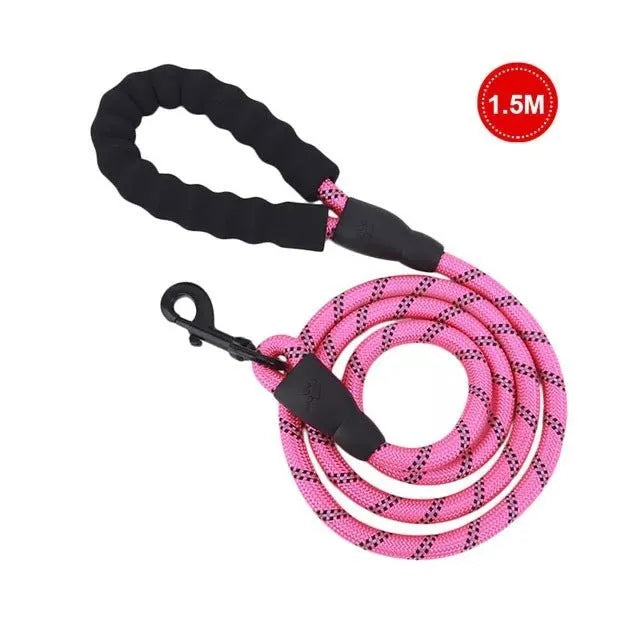 Small medium dog luminous leash chain reflective nylon 1.5m length blue colour padded handle training lead