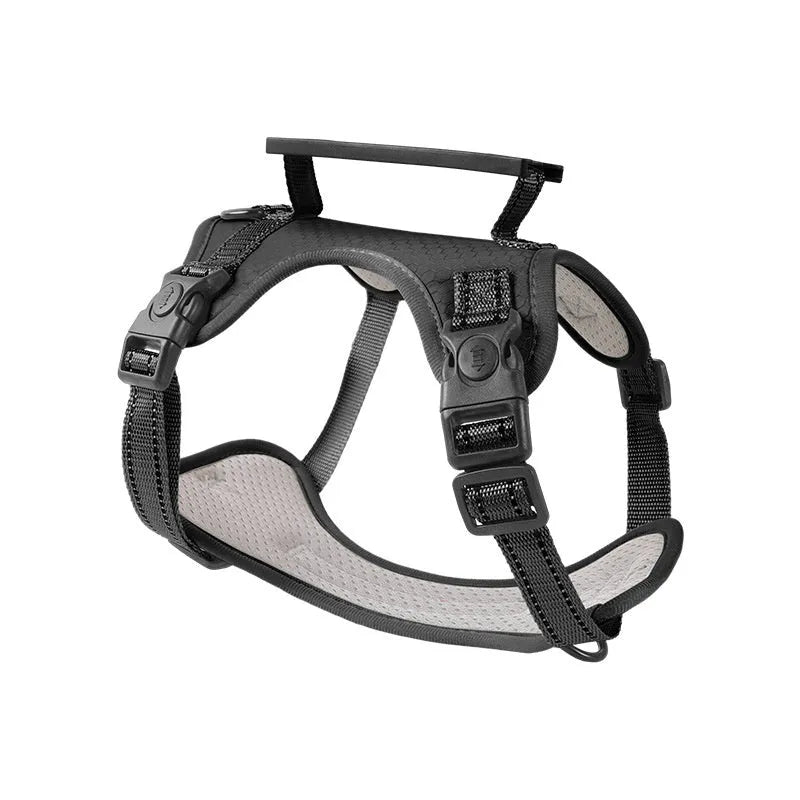 A polyester dog chest harness and lead set shown in a choice of colours including red and blue.