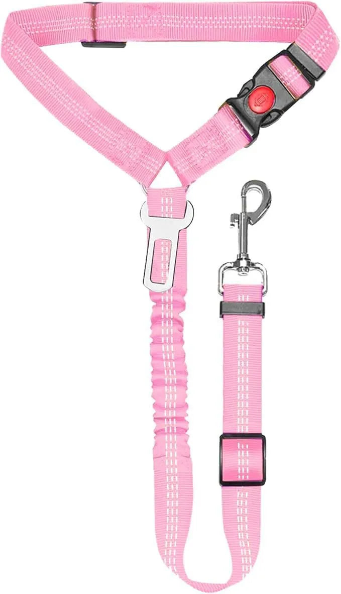 Nylon dog leash with metal buckle in multiple colour options including Army Green, Black, Blue, and Pink