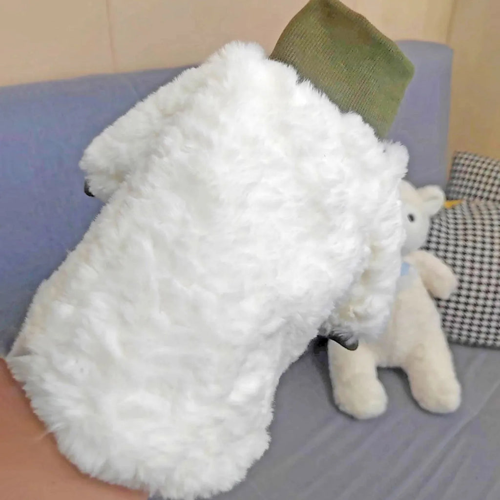Small dog wearing thick turtleneck winter coat with plush padding in creamy green colour