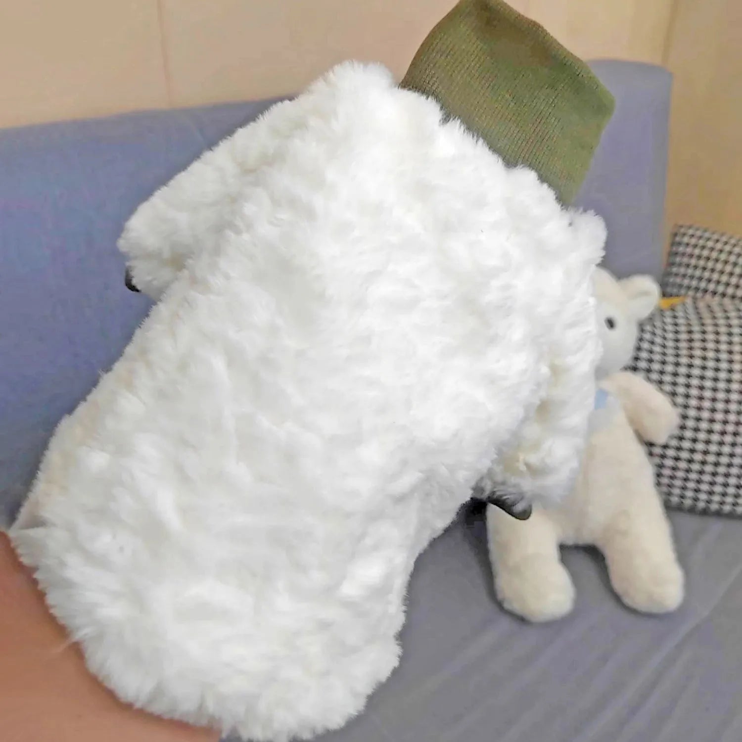 Small dog wearing thick turtleneck winter coat with plush padding in creamy green colour