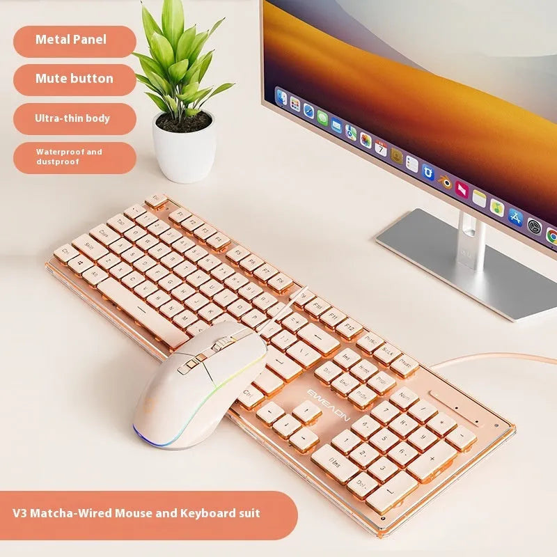 Prewalker V3 wired mute keyboard and mouse suit in retro green colour on a desk