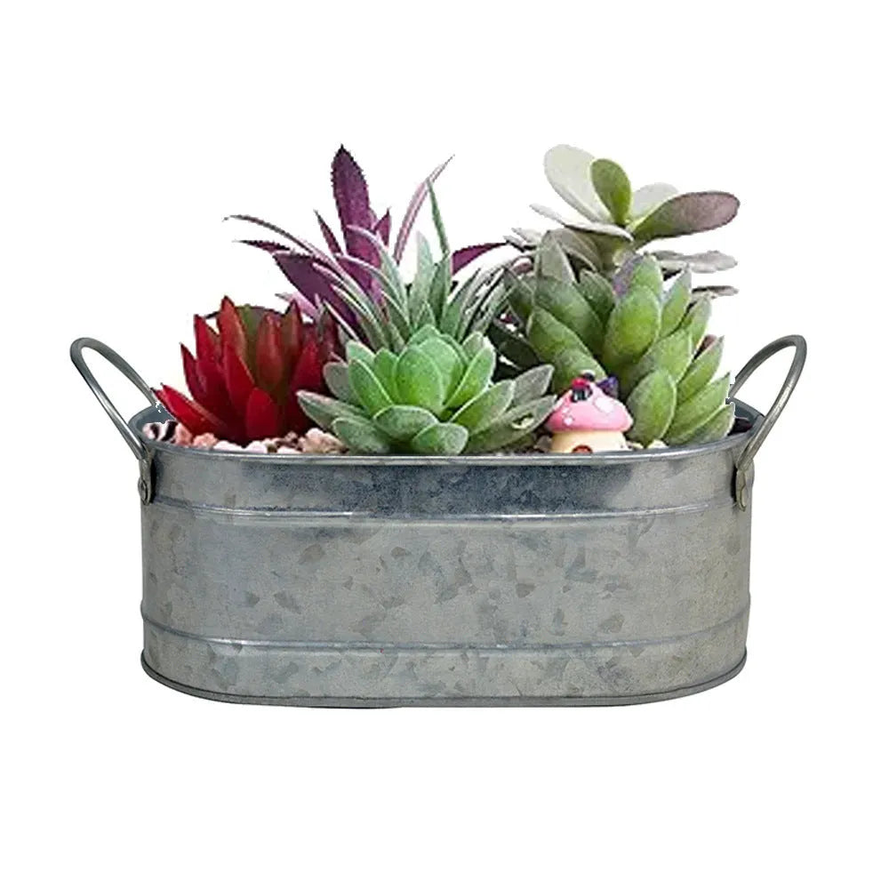 Iron metal desktop flowerpot for succulent plants and small cacti