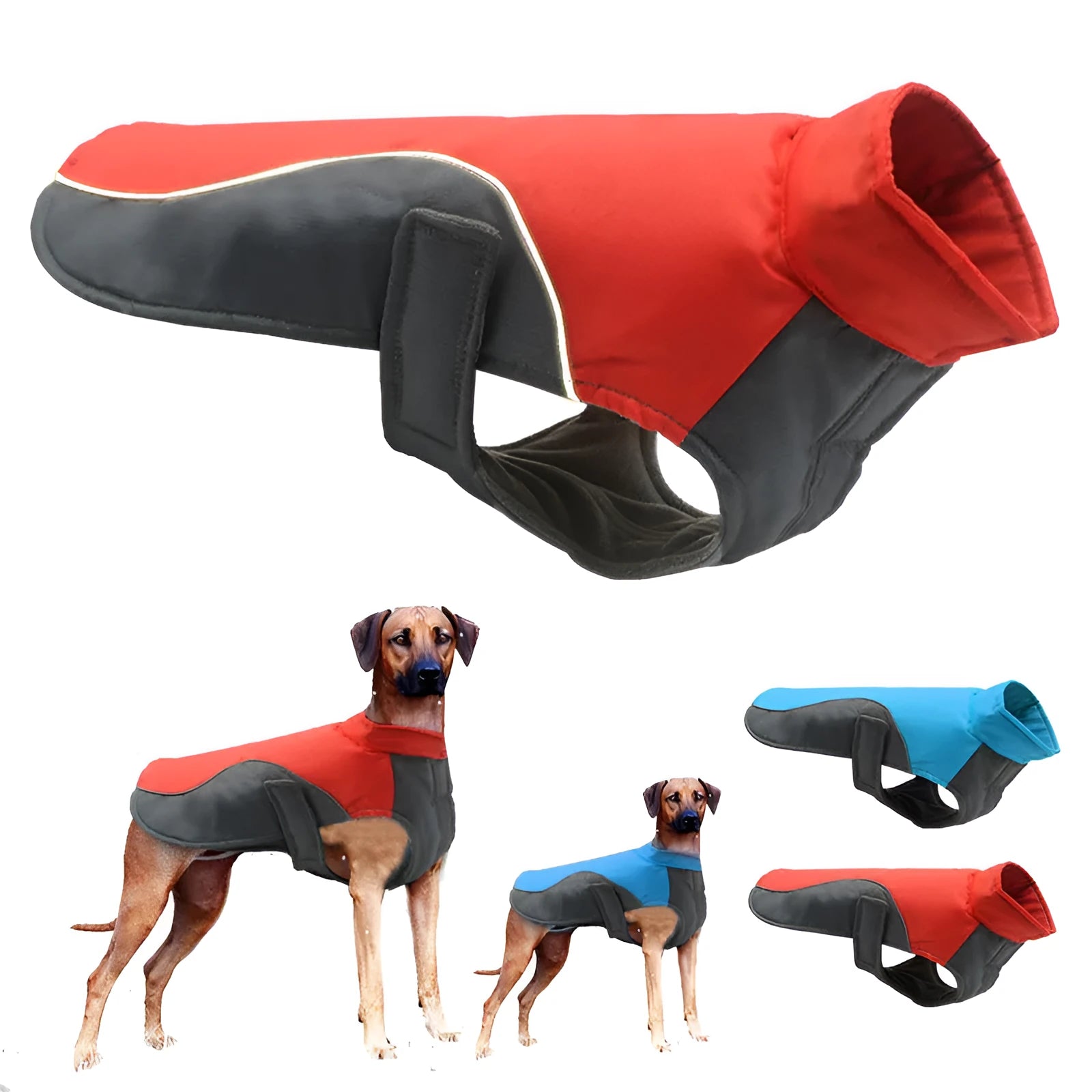 Blue waterproof reflective big dog jacket with Oxford cloth shell and fleece lining on a large dog