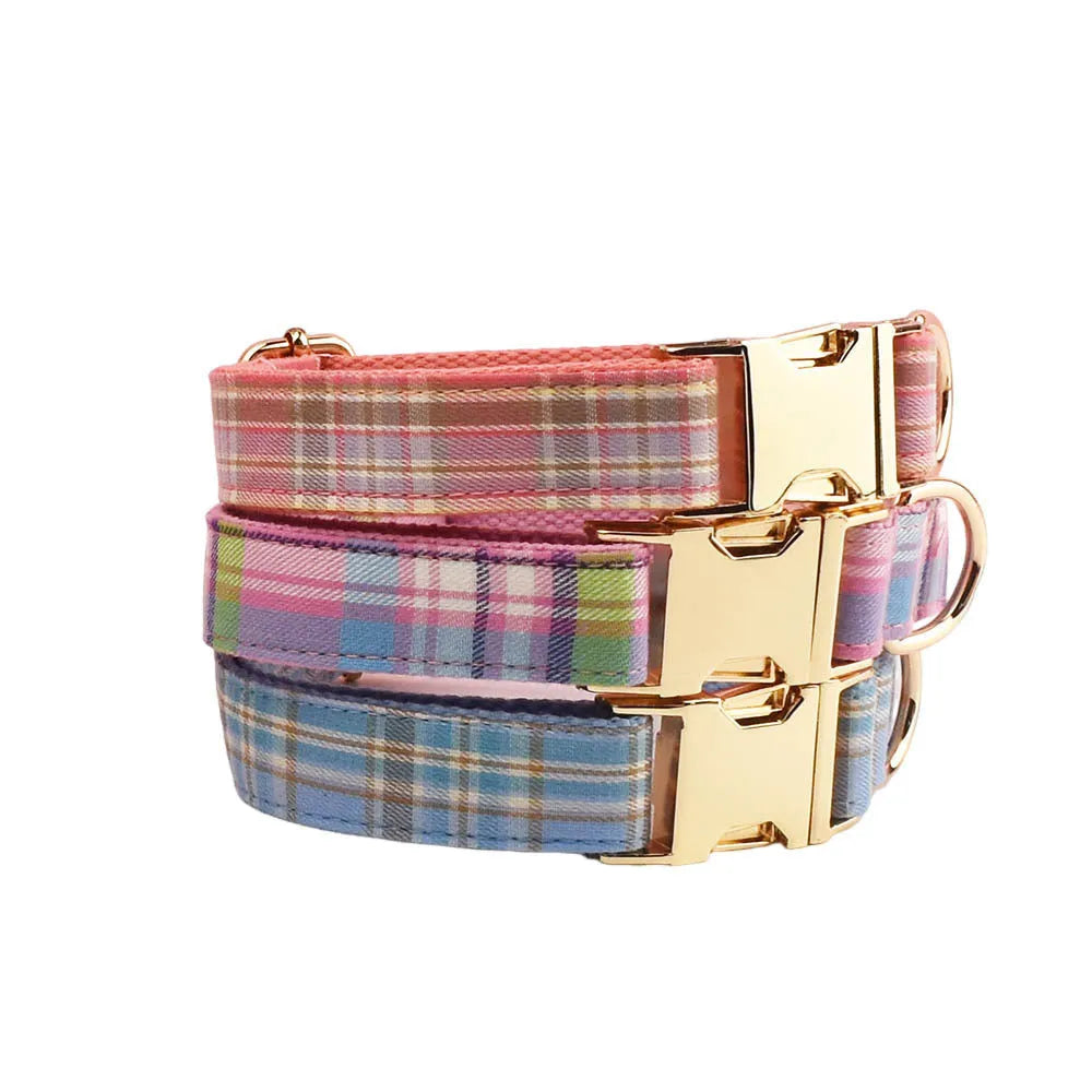 Sky blue grid pattern cloth dog collar and leash set with matching bow and vest on a dog