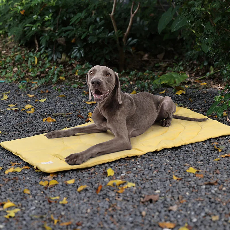 Waterproof foldable cotton dog mattress in yellow, green, brown, blue colours for kennel bed