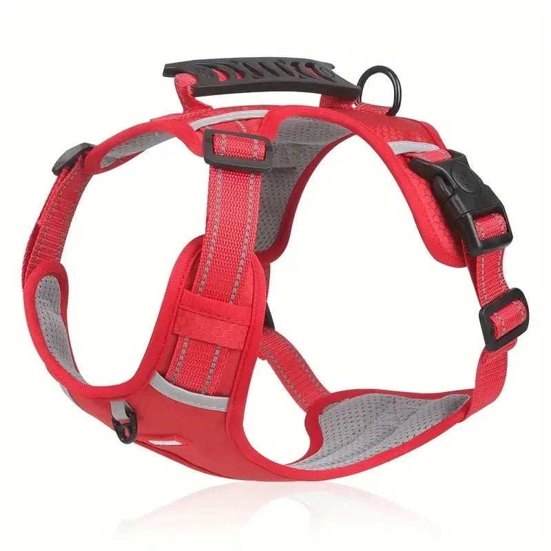 A polyester dog chest harness and lead set shown in a choice of colours including red and blue.