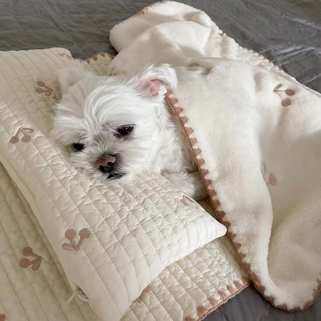 Simple Bear three-piece dog bed set with removable pillow, mattress and comforter in square mat format