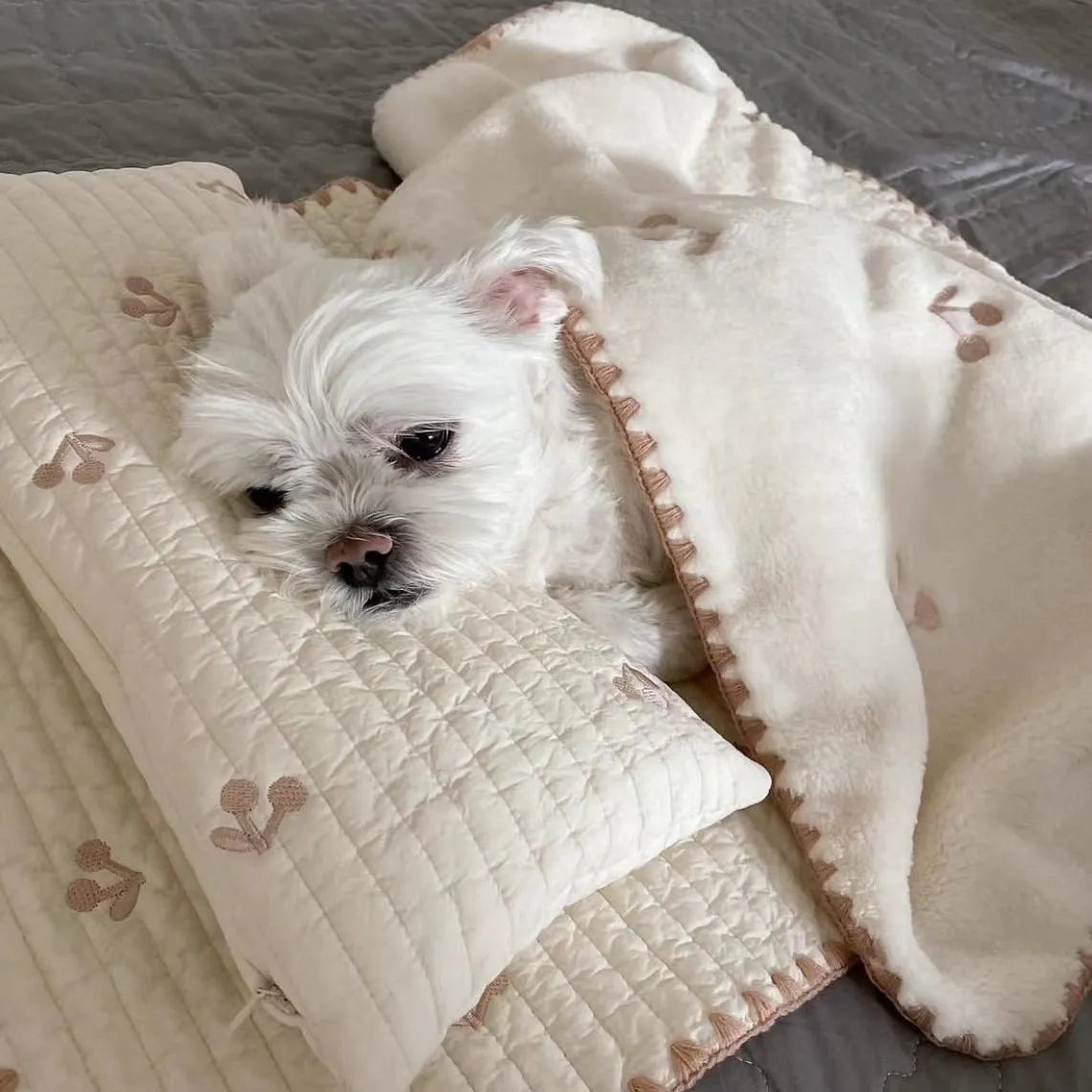 Simple Bear three-piece dog bed set with removable pillow, mattress and comforter in square mat format