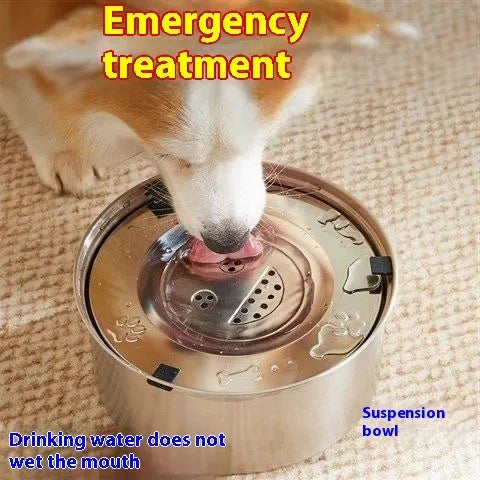 Silver stainless steel pet drinking bowl with wide opening, suitable for dogs and cats, large capacity option