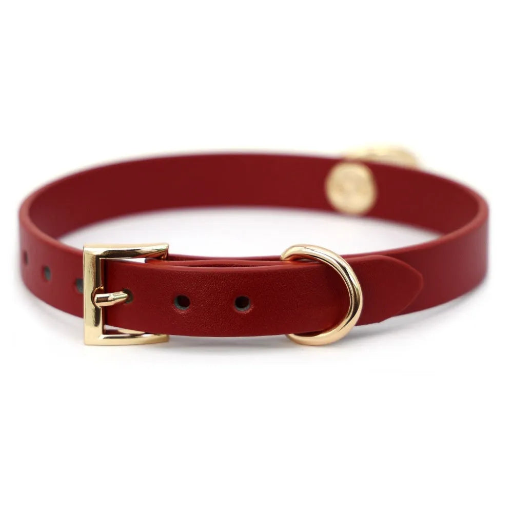 Genuine cowhide leather collar with metal fittings and a connected pull lead on a dark surface.