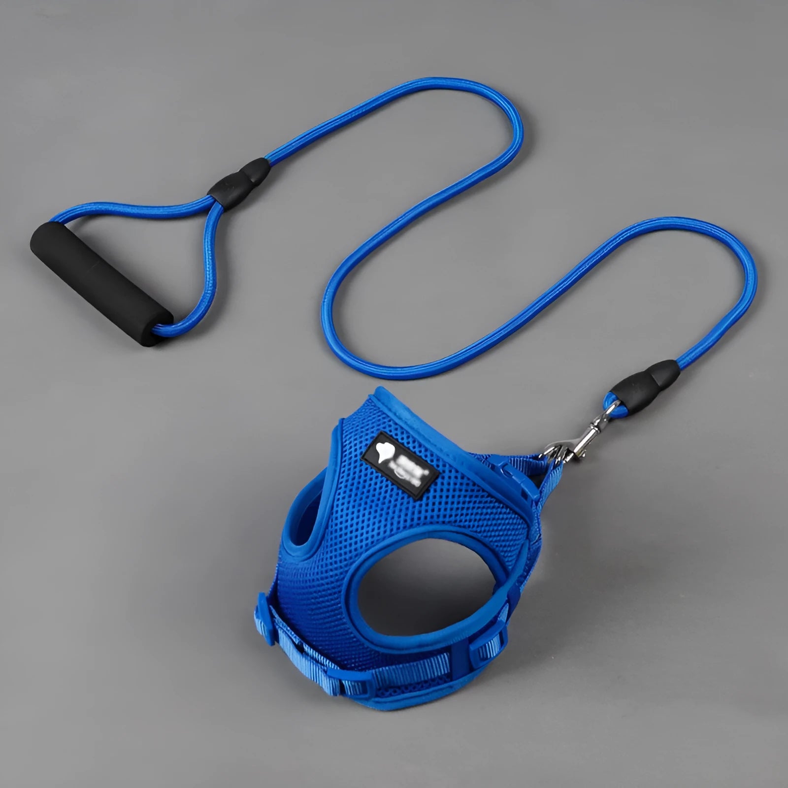 Blue dog lead with foam handle and adjustable collar for small dogs