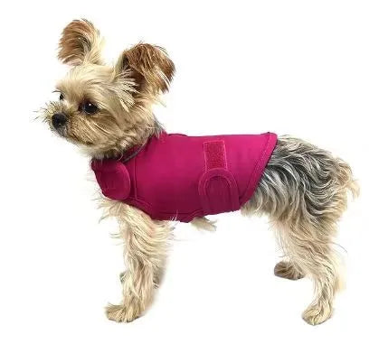 Dog wearing calming tank top vest in brocade cotton Ponte-de-Roma fabric for separation anxiety relief