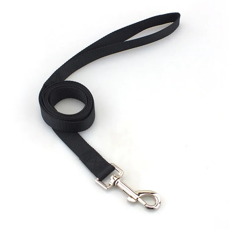 Solid colour polyester dog lead showing loop handle and single rope in one of twelve available colours.