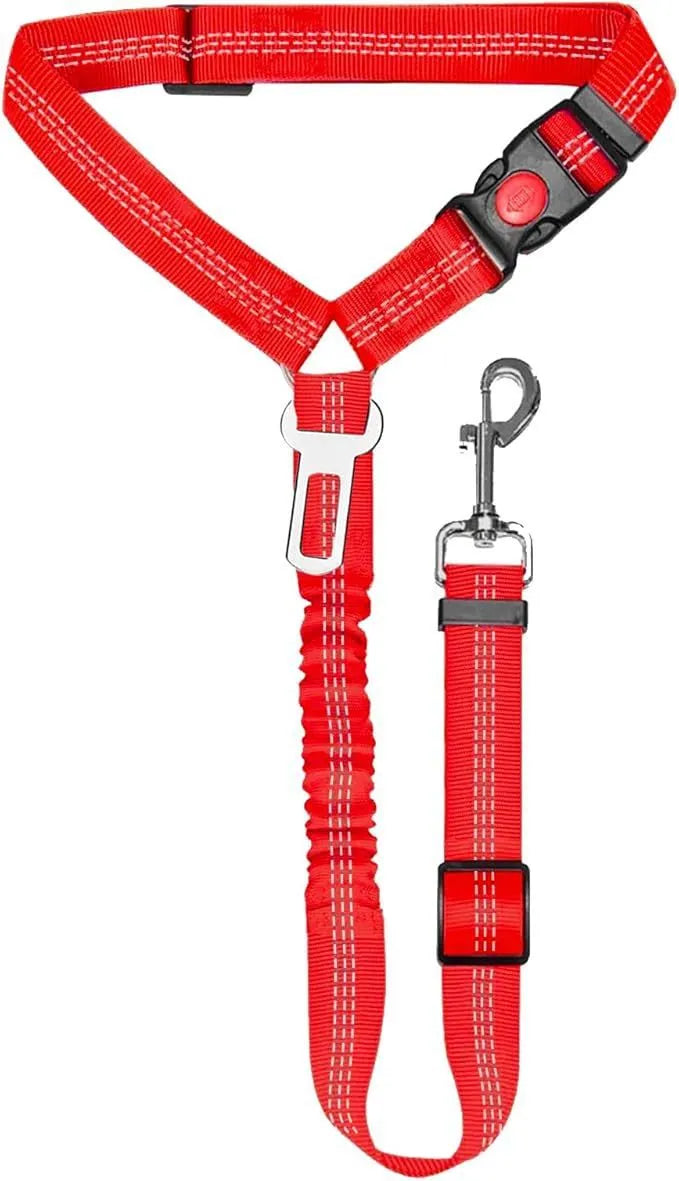 Nylon dog leash with metal buckle in multiple colour options including Army Green, Black, Blue, and Pink