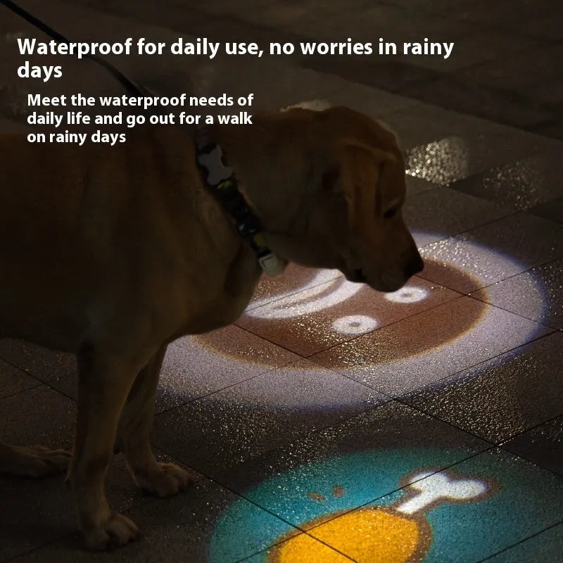 Pet luminous collar with integrated hanging lamp ring in four colour options
