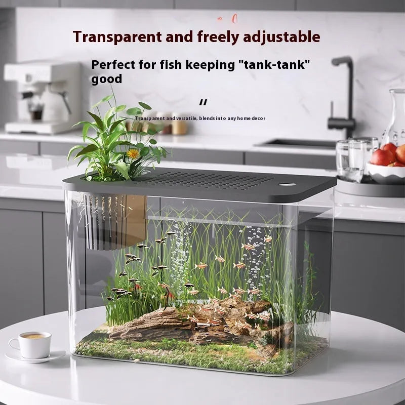 Ecological Betta fish tank medium plastic aquarium with lid in black and white colour options