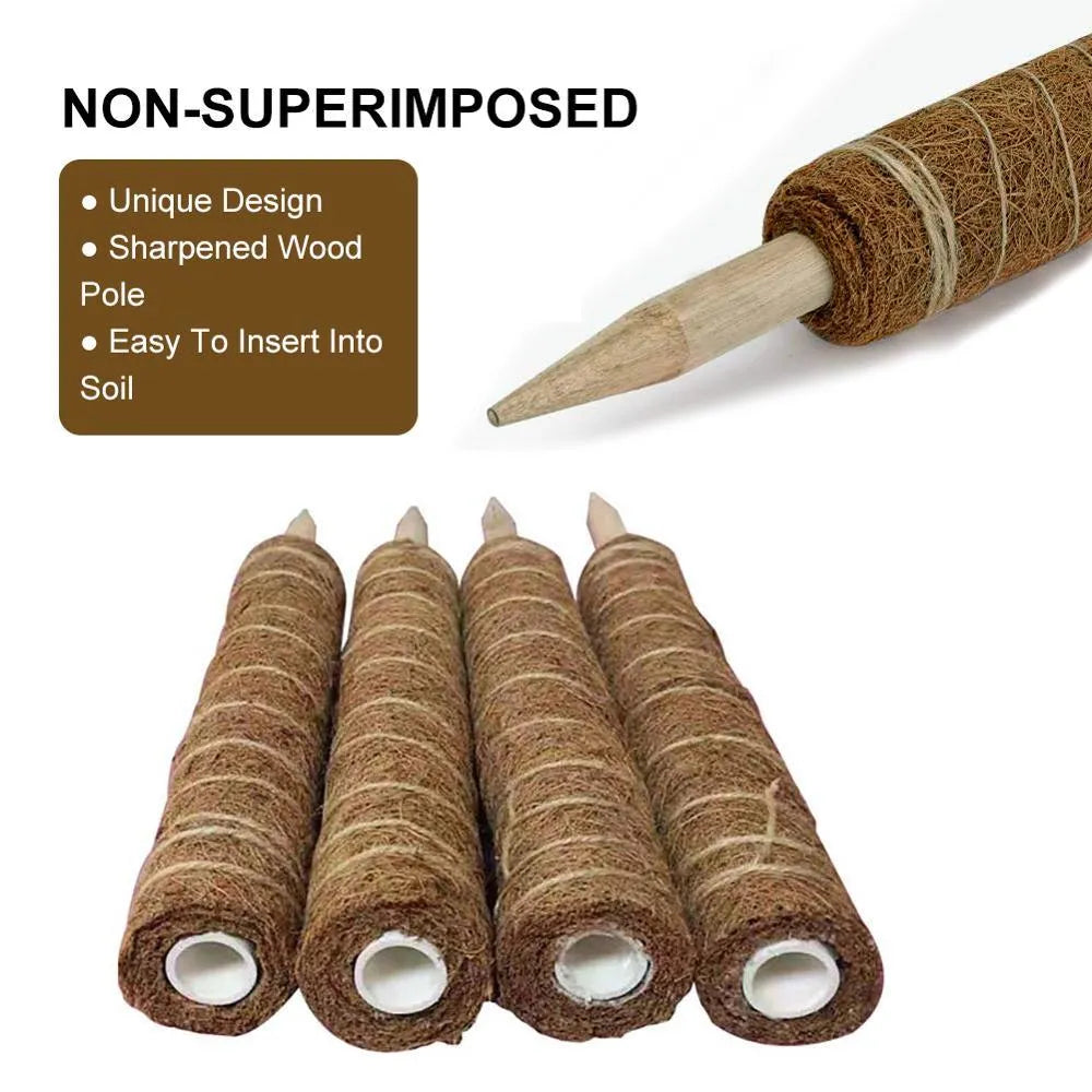 Green radish coconut palm stick with natural coconut moss fibre, wooden pole, and rope wrapping for indoor climbing plant support
