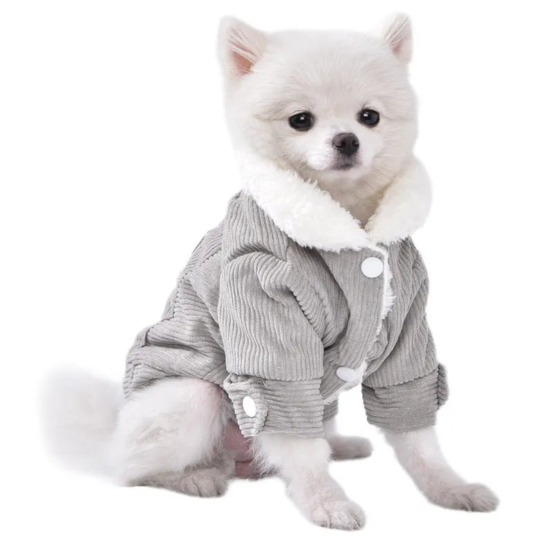 Grey lambswool dog vest with fleece lining for winter warmth, shown on a model dog.