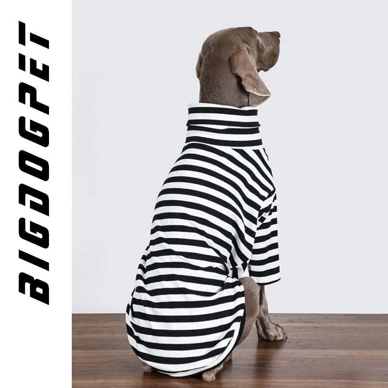 Large dog wearing thin black and white polyester inner clothing