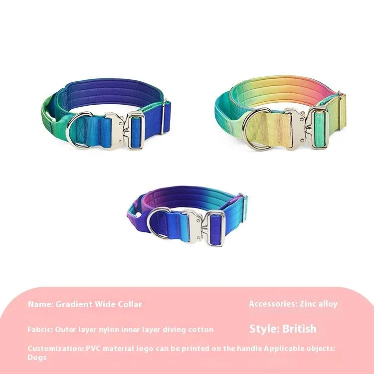 Nylon gradient pet collar and leash set in blue and purple on a white background