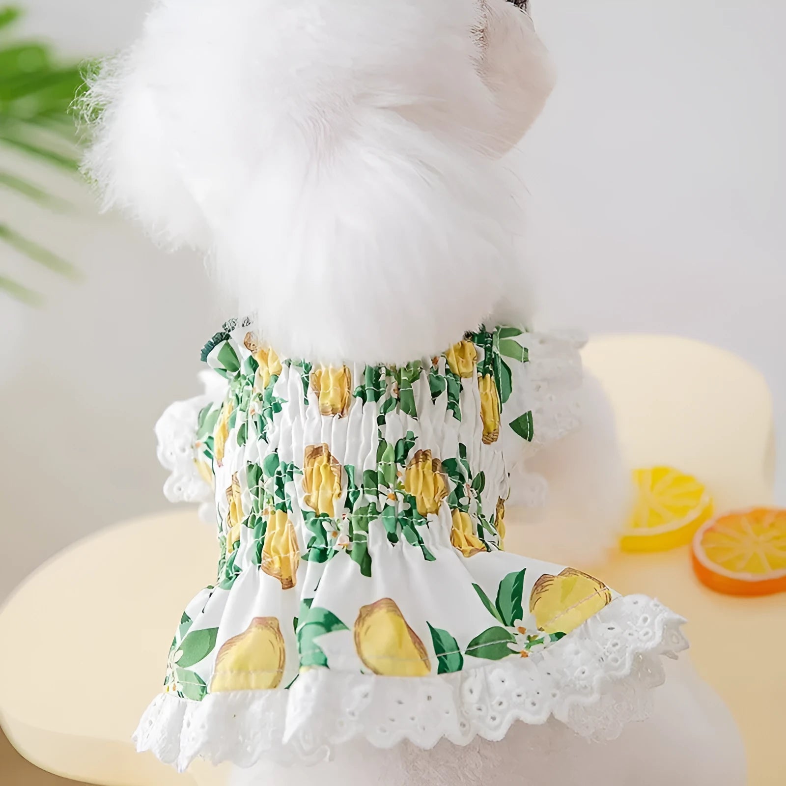 Rock yellow lemon coloured dog dress with thin straps and a skirt in a princess style.