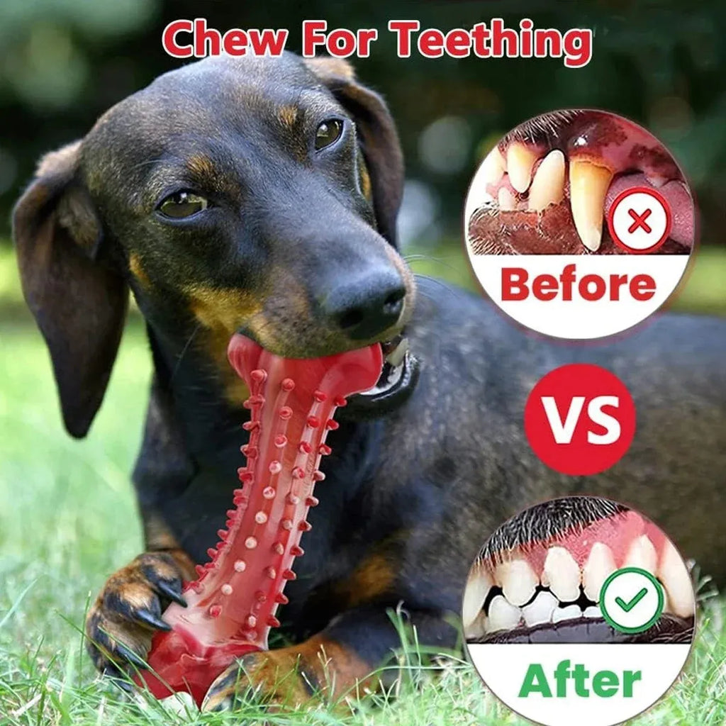 Red natural rubber chew toy for aggressive dogs with durable heavy-duty construction