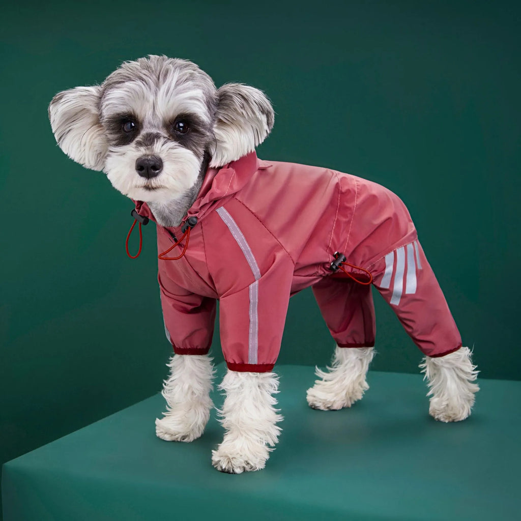 Dog wearing a four-legged waterproof raincoat in a yellow colour, standing on grass