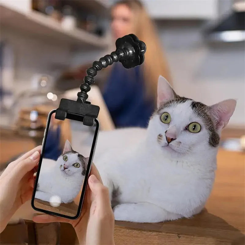 Black pet photography tool with treat clip and phone holder for dog and cat photography