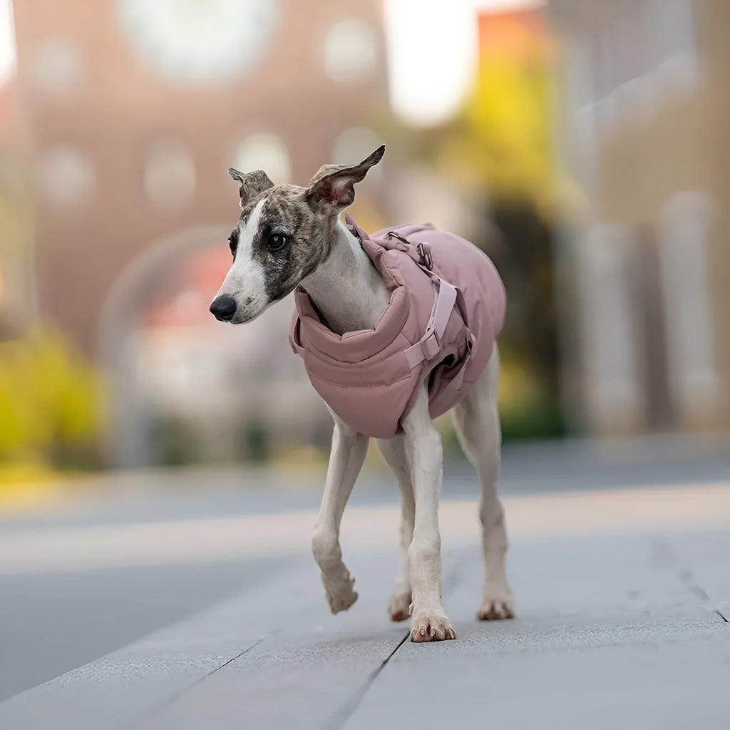 Khaki beige polyester winter dog coat on a pet, size L, windproof outer layer