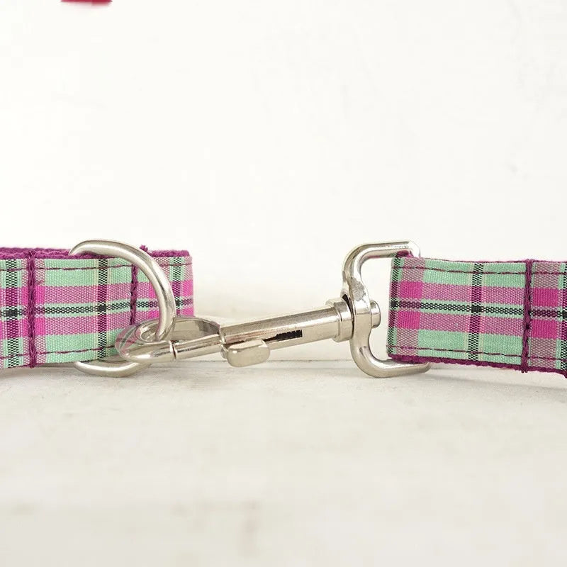 Mint green polyester dog collar and matching lead set shown in five available sizes