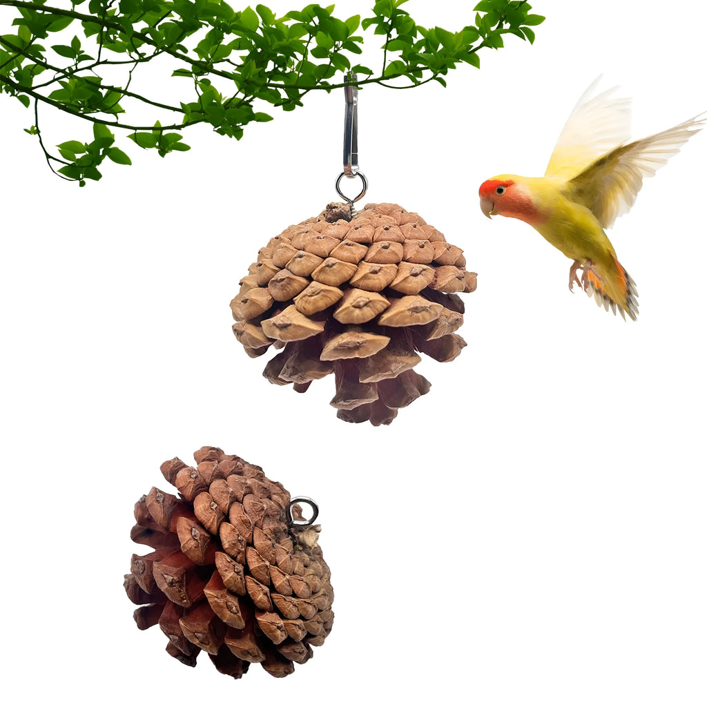 Natural pine cone parrot bite toy with metal stud and buckle, 5-6cm size, for hanging in bird cage