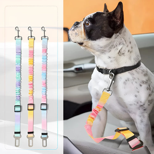 Orange Pink gradient elastic hand holding rope for pets, 60-80cm long, polyester material