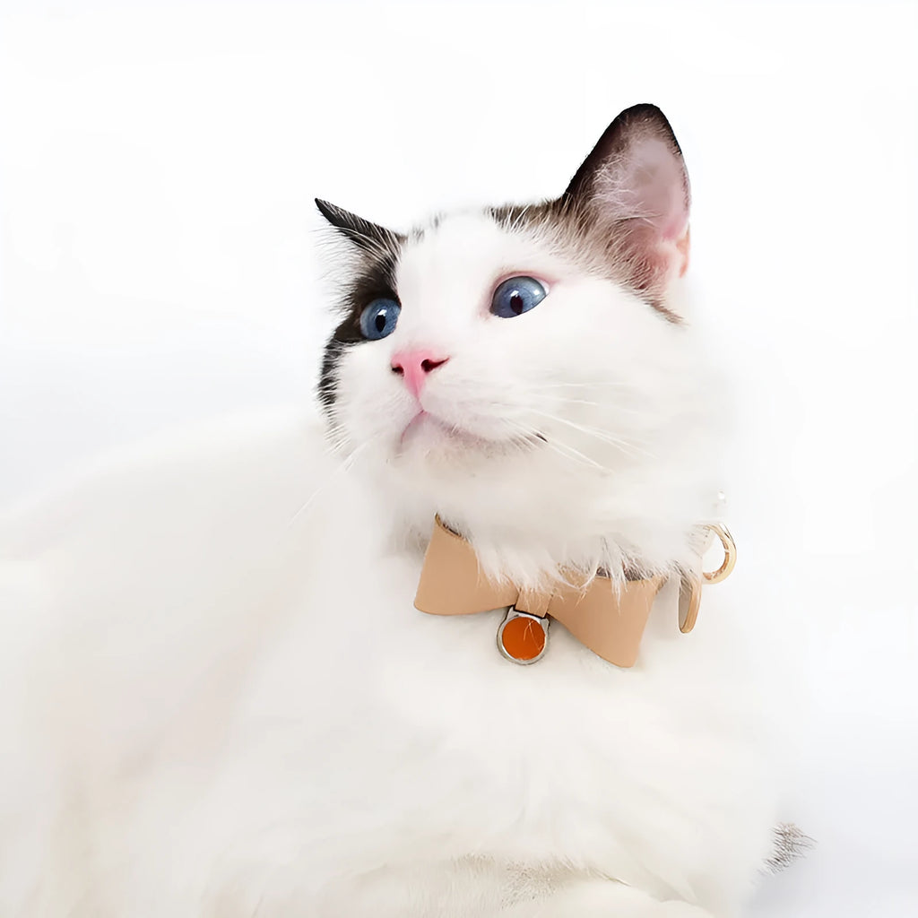 Brown leather adjustable cat collar shown alongside black, apricot, pink, blue, and green colour options.
