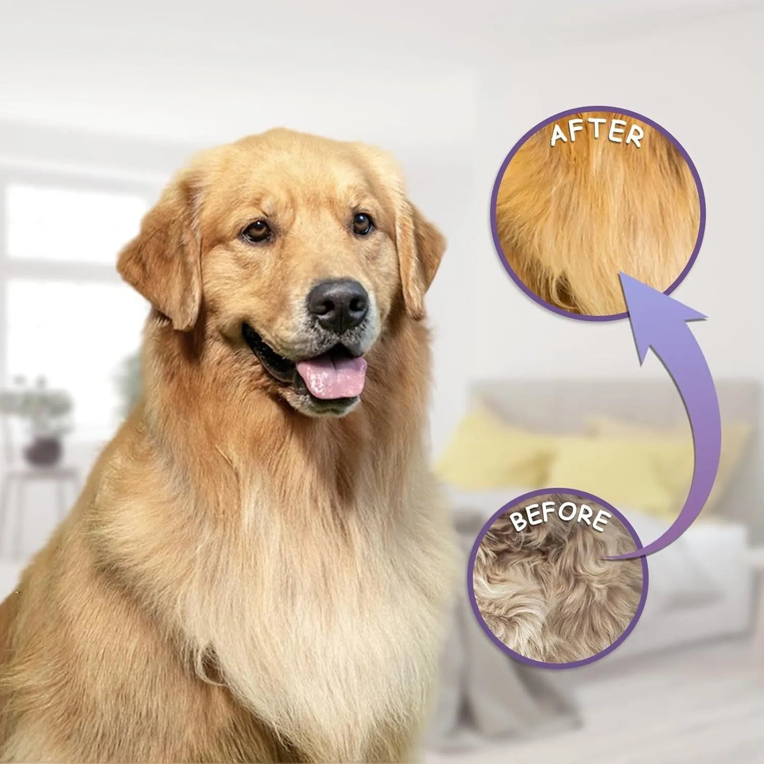 Purple pet grooming comb with stainless steel teeth for dogs and cats