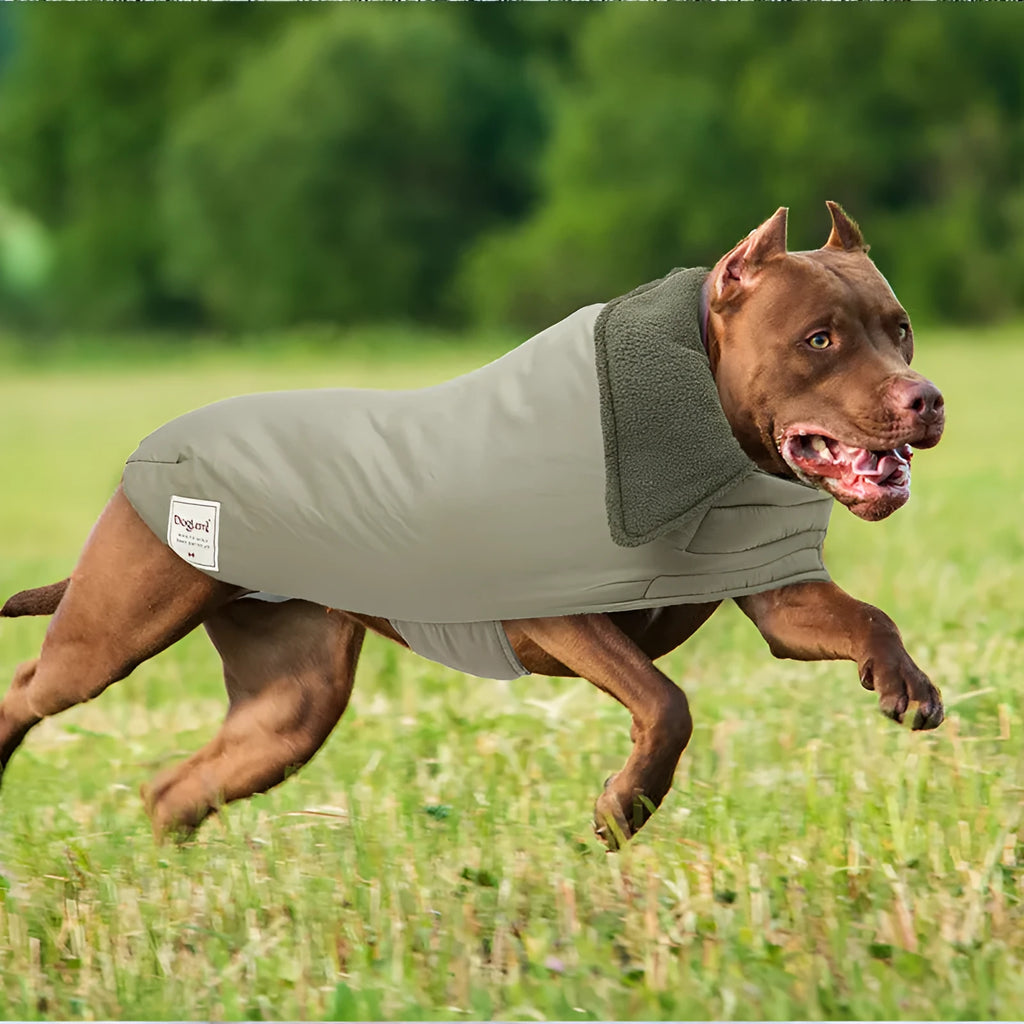 Dog wearing a solid-colour lapel turtleneck cotton-padded vest in a choice of sand white, light purple, or khaki green.