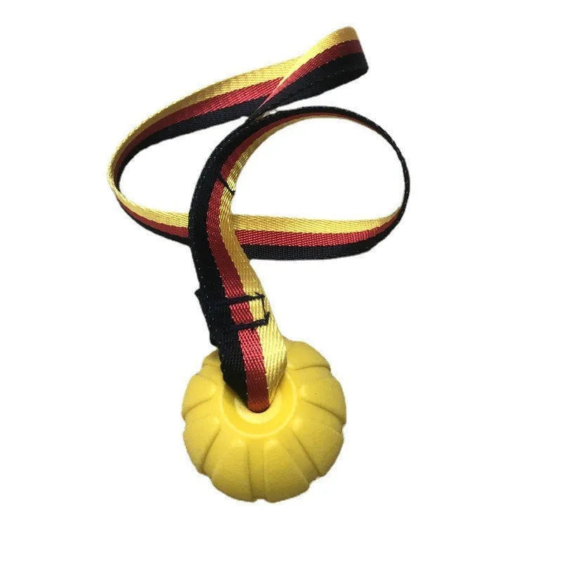 Floating EVA pet training ball in yellow and camouflage colours showing three diameter sizes for water fetch