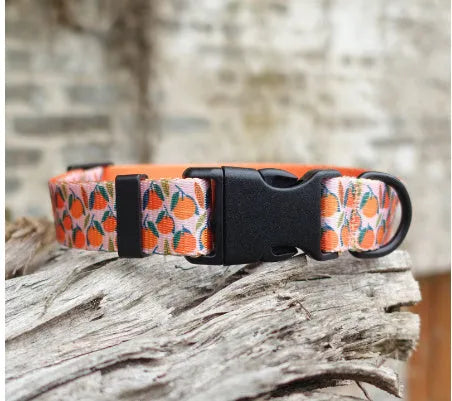 Floral pattern nylon ribbon dog collar in hanada blue with adjustable sizing for small to large dogs